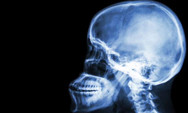Se ha descubierto una nueva parte del cuerpo humano nueva parte del cuerpo humano