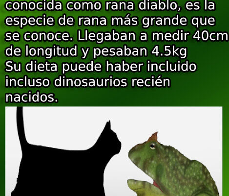 la-rana-mas-grande-que-ha-existido