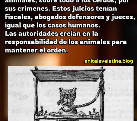 Cuando los Animales eran juzgados Cuando los Animales eran juzgados